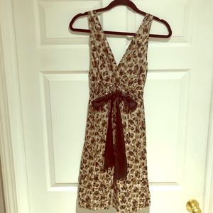 Silk BCBG Dress